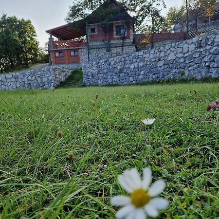 Mountain Village House Cetinje Exterior foto