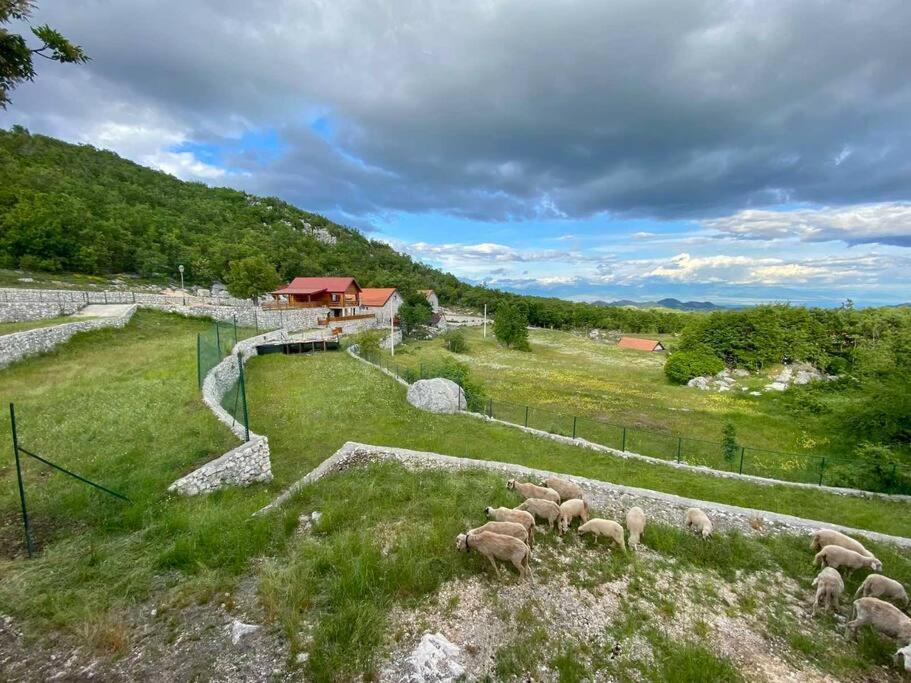Mountain Village House Cetinje Exterior foto