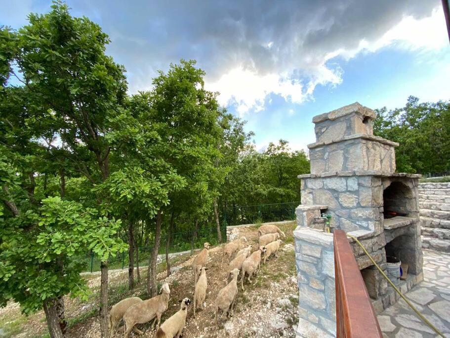 Mountain Village House Cetinje Exterior foto
