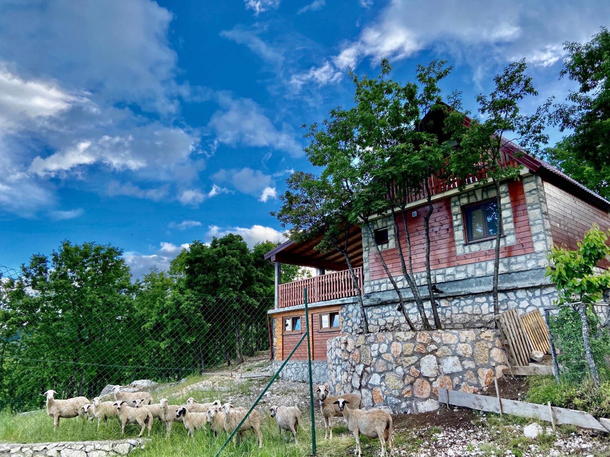 Mountain Village House Cetinje Exterior foto