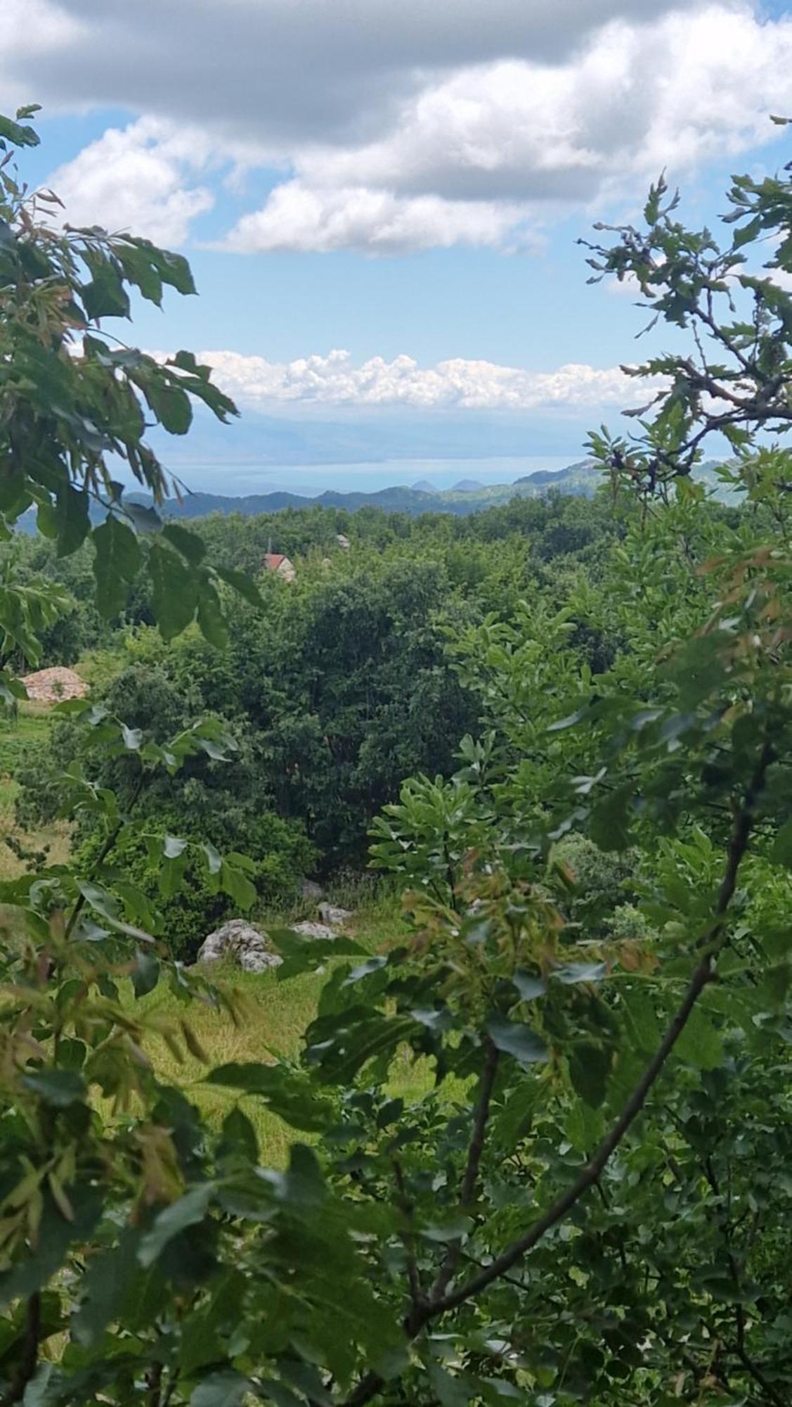 Mountain Village House Cetinje Exterior foto